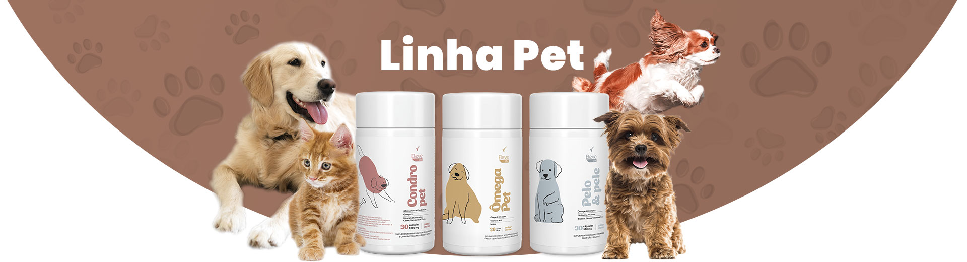 Linha Pet | 1920x520
