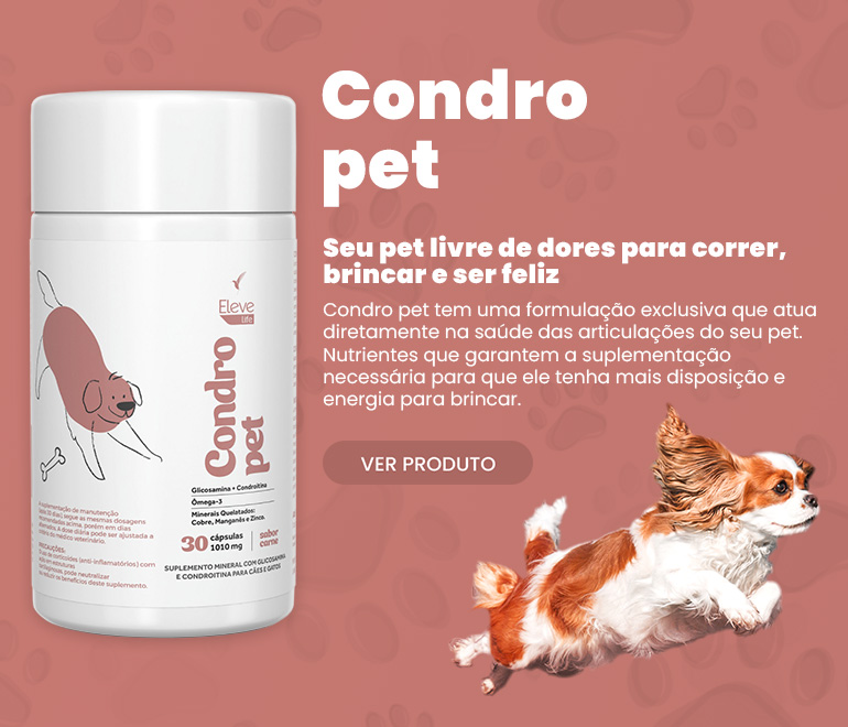 Condro Pet | 770x660