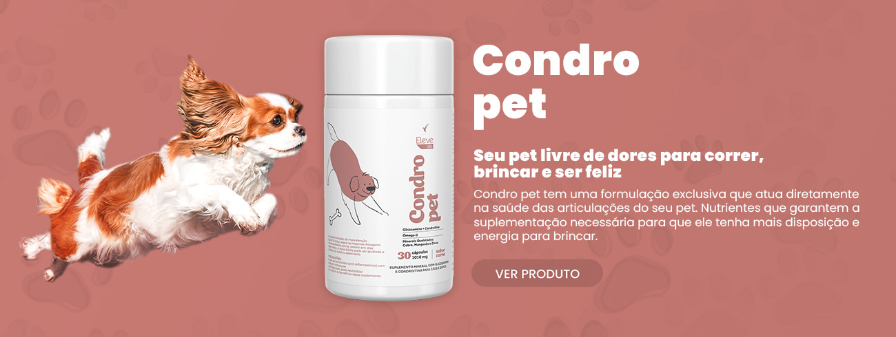 Condro Pet | 1300x490