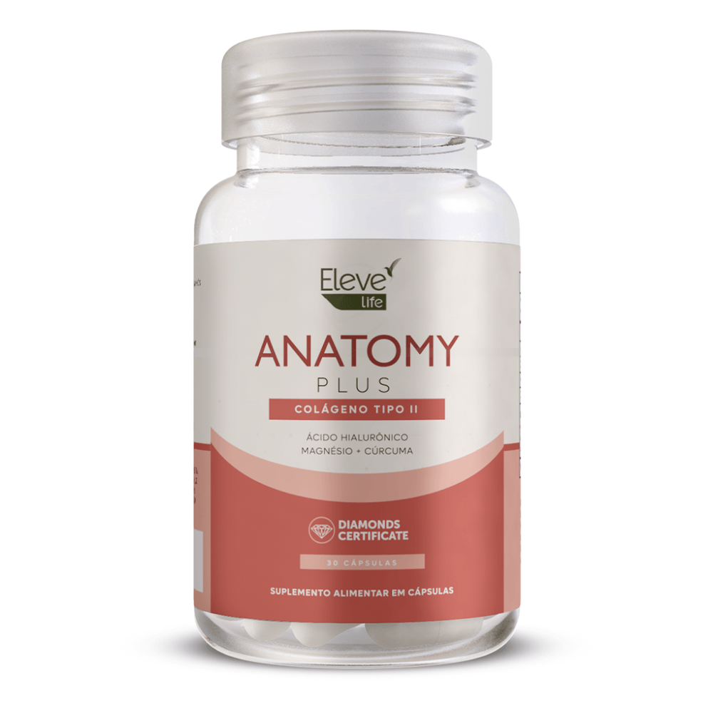 Anatomy-1unidade.png Anatomy-1unidade.png