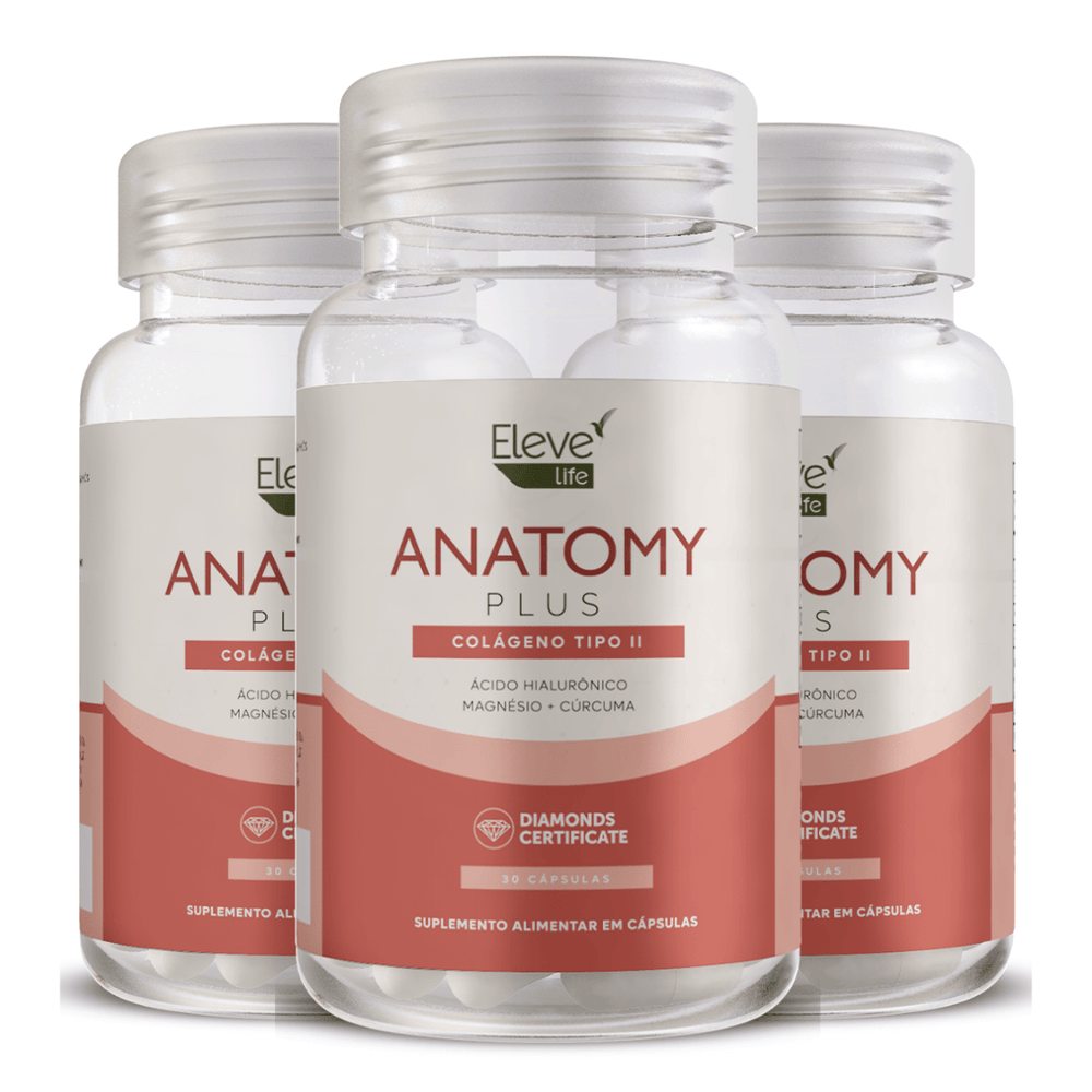 Anatomy-3unidades.png Anatomy-3unidades.png