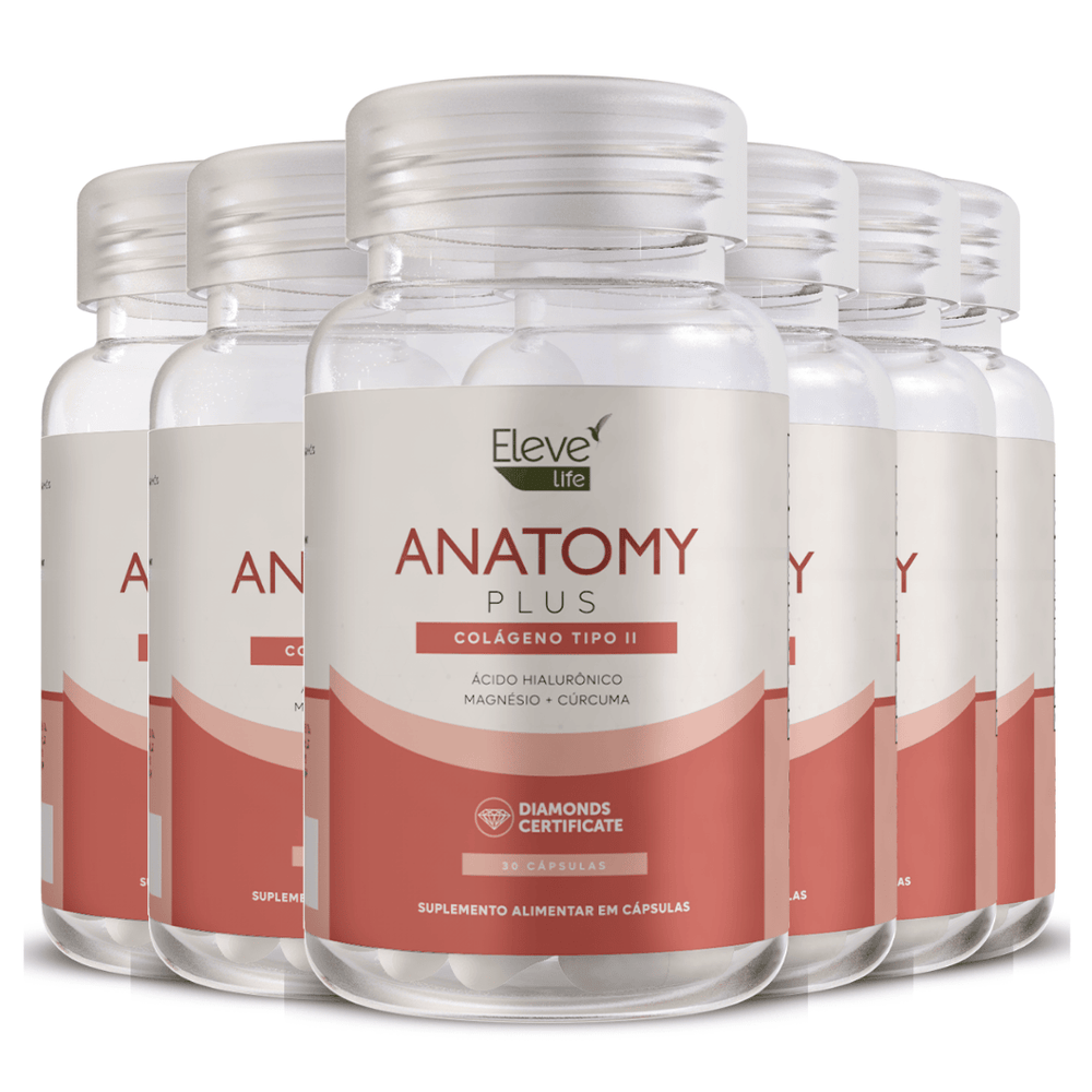 Anatomy-6unidades.png Anatomy-6unidades.png