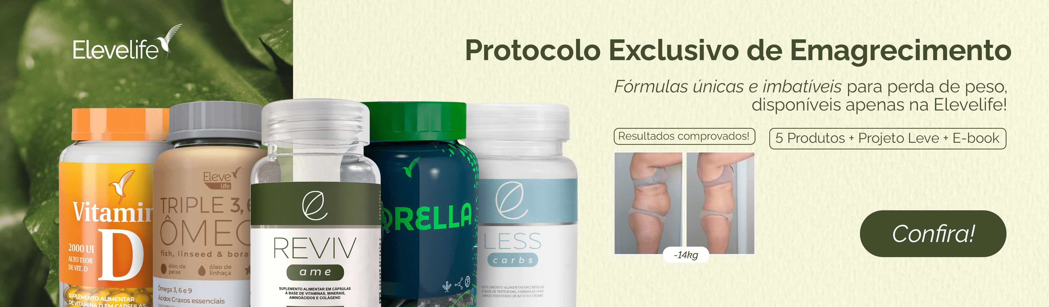 PROTOCOLO | 1920X564 - DESK