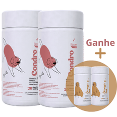 condo-pet-kit-com-2