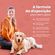 Beneficios-Condro-Pet
